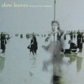 Buy Slow Leaves - Beauty Is So Common Mp3 Download