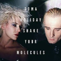 Purchase Soma Holiday - Shake Your Molecules