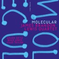 Buy James Brandon Lewis Quartet - Molecular Mp3 Download