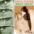 Buy David Gibson - Inner Agent Mp3 Download