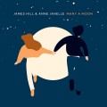 Buy James Hill & Anne Janelle - Many A Moon Mp3 Download