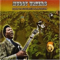 Purchase Muddy Waters - Down On Stovall's Plantation (Vinyl)