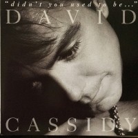 Purchase David Cassidy - Didn't You Used To Be...