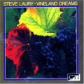 Buy Steve Laury - Vineland Dreams Mp3 Download