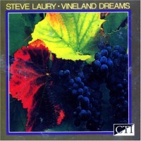 Purchase Steve Laury - Vineland Dreams