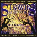 Buy Strawbs Acoustic - Full Bloom - Live At Natural Sound Mp3 Download