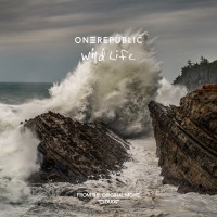 Purchase OneRepublic - Wild Life (CDS)