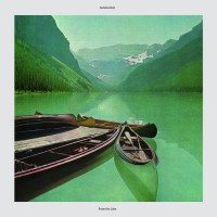 Purchase Automatism - From The Lake