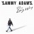Buy Sammy Adams - The Long Way Mp3 Download