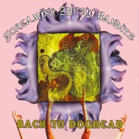 Purchase The Screaming Gypsy Bandits - Back To Doghead