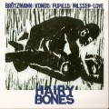 Buy Hairy Bones - Hairy Bones Mp3 Download