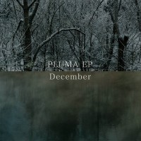 Purchase December - Pluma (EP)