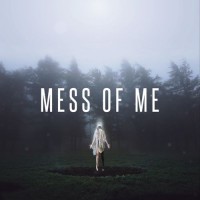 Purchase Citizen Soldier - Mess Of Me (CDS)