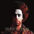 Buy Selwyn Birchwood - Living In A Burning House Mp3 Download