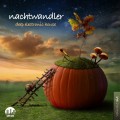 Buy VA - Nachtwandler Vol. 6 - Deep Electronic House Mp3 Download