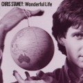 Buy Chris Stamey - It's A Wonderful Life (Vinyl) Mp3 Download