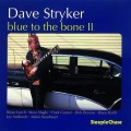 Buy Dave Stryker - Blue To The Bone II Mp3 Download