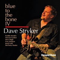 Purchase Dave Stryker - Blue To The Bone IV