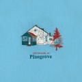 Buy Pinegrove - Amperland, NY Mp3 Download