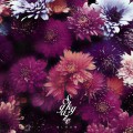 Buy Skygaze - Bloom Mp3 Download