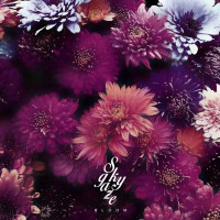 Purchase Skygaze - Bloom