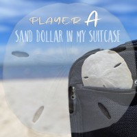 Purchase Player A - Sand Dollar In My Suitcase