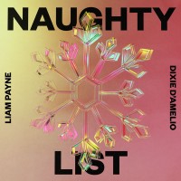 Purchase Liam Payne - Naughty List (CDS)