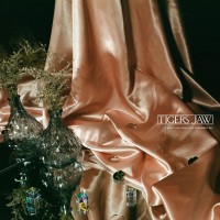 Purchase Tigers Jaw - I Won't Care How You Remember Me