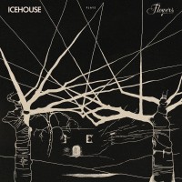 Purchase Icehouse - Icehouse Plays Flowers Live