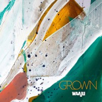 Purchase Waaju - Grown