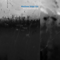 Purchase Matthew Shipp & Michael Bisio & Newman Taylor Baker - The Unidentifiable