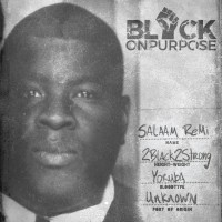 Purchase Salaam Remi - Black On Purpose