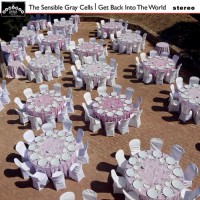 Purchase The Sensible Gray Cells - Get Back Into The World