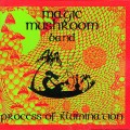 Buy Magic Mushroom Band - Process Of Illumination Mp3 Download