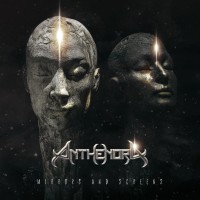 Purchase Anthenora - Mirrors And Screens