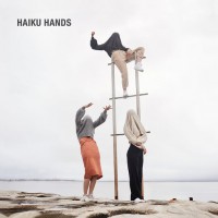 Purchase Haiku Hands - Haiku Hands