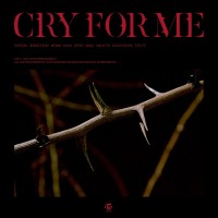Purchase Twice - Cry For Me (CDS)