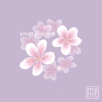 Purchase Mxmtoon - Plum Blossom