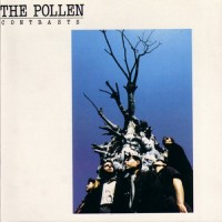 Purchase The Pollen - Contrasts
