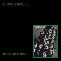 Purchase Convex Model - Life In A Glass Cube