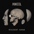 Buy Wheel - Resident Human Mp3 Download