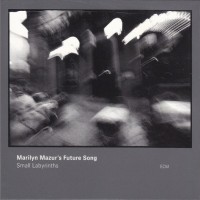 Purchase Marilyn Mazur's Future Song - Small Labyrinths
