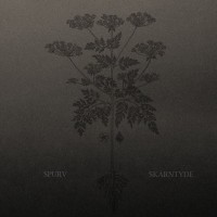 Purchase Spurv - Skarntyde