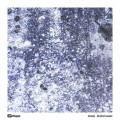 Buy Sweely - Drafted Sounds Mp3 Download