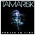 Buy Tamarisk - Frozen In Time Mp3 Download