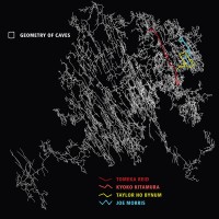 Purchase Tomeka Reid - Geometry Of Caves (With Kyoko Kitamura, Taylor Ho Bynum & Joe Morris)