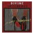 Buy Divine Interface - Seeking Arrangement Mp3 Download