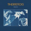 Buy Tindersticks - Distractions Mp3 Download