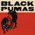 Buy Black Pumas - Confines (Live In Studio) (CDS) Mp3 Download
