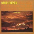 Buy David Friesen - Amber Skies Mp3 Download